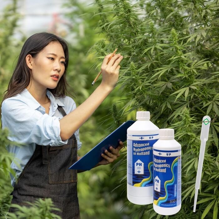 Мл рН-тестер - рН-редуктор підйомник добриво рослини вирощують культивацію в закритому грунті пухові гранули помідори газон орхідеї, 500