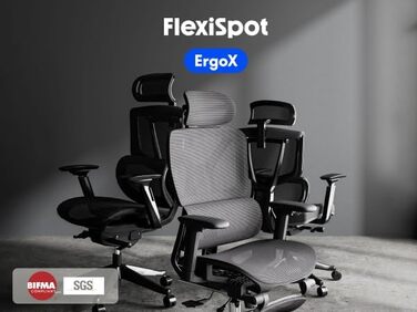 Ергономічне офісне крісло FLEXISPOT, стілець для роботи, 3D підлокітники, 3D підголівник, 5D регульована спинка, дихаюче сидіння, вантажопідйомність до 136 кг, ErgoX, темно-сірий, сірий Lite