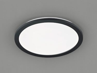 Стельовий LED-світильник Reality Camillus R62922432, матовий чорний пластик, білий акрил, 24 Вт, діаметр 40 см