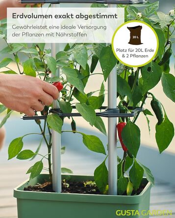 Горщик для рослин Charly Chili Chili - Горщик для рослин із шпалерою, системою поливу та міцним каркасом (темно-зелений, XL) XL Темно-зелений