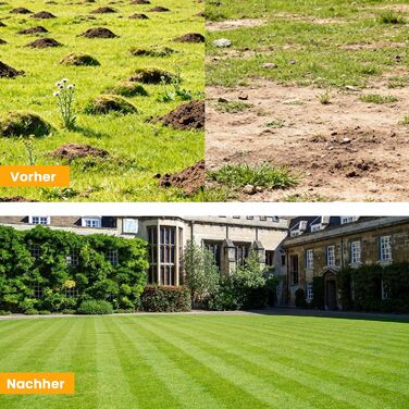 Гребінь для вирівнювання газону 75x25 см, садовий рівняч з подовженою ручкою 190 см для двору та саду