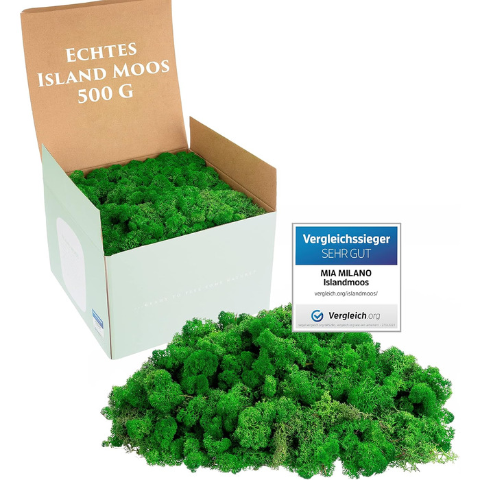 Ісландський мох натуральний зелений збережений I Декорація з моху для крафта I 500г Справжній декоративний мох Ісландський для картини з моху та живої мохової стіни