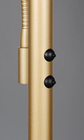 Стільовий торшер Trio Leuchten Willis 449510279, металевий, золотистий, 39 5.5 Вт LED, регульована колірна температура, диммер