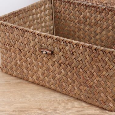Кошики FEILANDUO з вербовими полицями та кришкою, з морської трави, кошик для зберігання, контейнер, прямокутний, ручної роботи, для полиць, столу, домашнього органайзера (кавовий, великий)