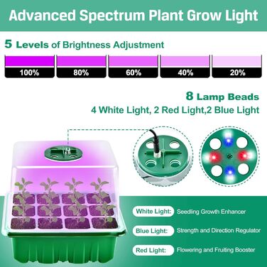 Коробка для розмноження DazSpirit для кімнатної теплиці з 5 упаковками з освітленням, міні-набір для розмноження для теплиць, освітлення рослин із таймером і регульованою яскравістю, лотки для розмноження розсади для теплиць, садівництво