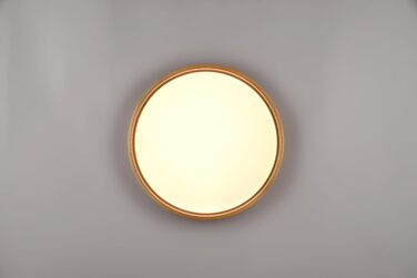 Стельовий LED-світильник Trio Leuchten Doha 641310208, матова латунь, акрил, LED 29 Вт