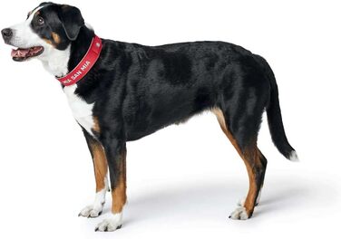 Гідрокостюм неопреновий з відбиваючими елементами FC Bayern, Розмір L-XL (65), Червоний L-XL (65)