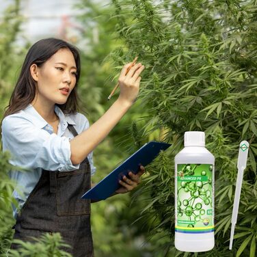 Літр - фаза цвітіння, вирощування, вирощування в закритому грунті, органічні помідори, огірки, рідке органічне добриво, 1