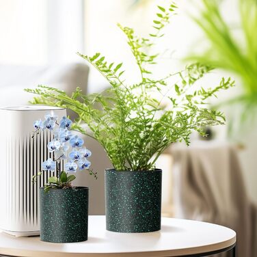 Набір з 5 квіткових горщиків з блюдцями, 17,8 см/15,2 см/14 см/12,7 см/10,2 см, пластикові кашпо, набір квіткових горщиків, ідеально підходить для кімнатних та балконних садів, чорний із зеленими цятками 765,554 дюймів (5 шт.) чорний із зеленими цятками