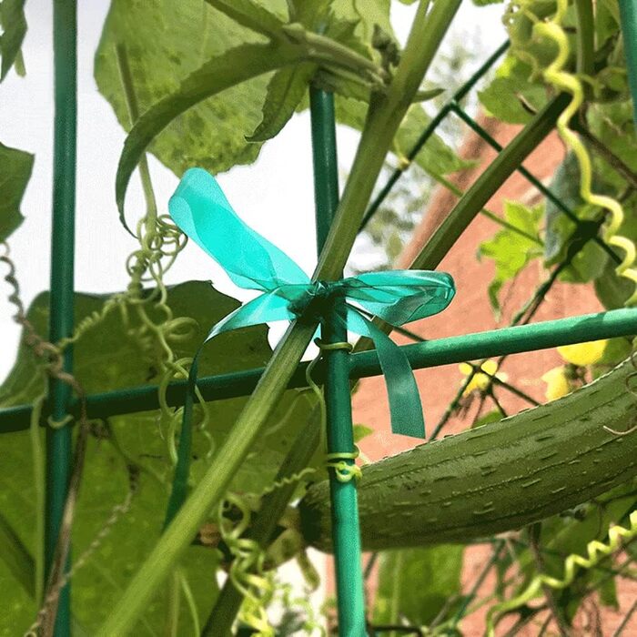 Рулони розтяжної стрічки для краватки для саду зеленої товстої стрічки для рослин у приміщенні, на відкритому повітрі, на патіо, на деревах, гілках, в&39ючих кашпо, квітах, 1 дюйм завширшки та 150 футів завдовжки, 2