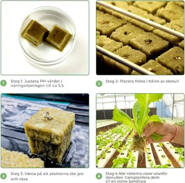 Набір гідропонних кубиків для пророщування та живців, дихаючий та екологічно чистий субстрат, ідеально підходить для розсади, садів у приміщенні та на відкритому повітрі, вирощування рослин (100)