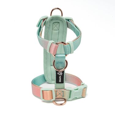 Шлейка для собак Tspro для маленьких порід, анти-тягнуча, легка, регульована, градієнтна (жовто-зелена, розмір 1). Розмір 1 (шия 30,547,5 см, груди 32,356 см). Градієнт жовто-зеленого кольору.