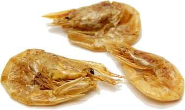 Корм для водяних черепах Koi algova з сушених прісноводних креветок 2-4 см (5 л 800 г)