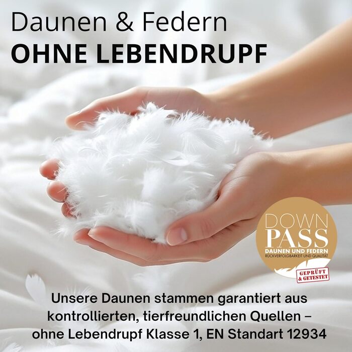 Пухова подушка, виготовлена в Німеччині, 80x80 3-камерна подушка 80x80, пух та пір&39я Гіпоалергенна подушка Сертифіковано для тварин (DOWNPASS) Oeko-TEX Клас 1 Комплект пір&39яних подушок з 1 предмета 80x80 см