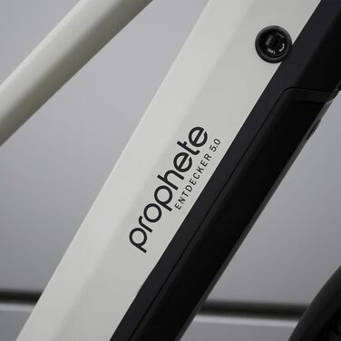 Електровелосипед Prophete Entdecker 5.0 28-дюймовий трекінговий велосипед двигун AEG SportDrive II із середнім приводом 250 Вт/100 Нм акумулятор 48 В/720 Втгод із запасом ходу до 220 км 10-ступінчаста коробка передач Deore гідравлічні дискові гальма, трап