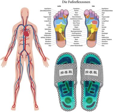 Точковий масаж Тапочки, магнітотерапія Масажне взуття Масажні тапочки Охорона здоров'я Активація крові Розслаблення ніг Масажне взуття для чоловіків і жінок (чоловіків)