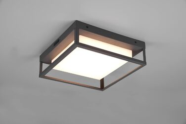 Стельовий світильник Trio Witham 677860142 LED для вулиці, метал антрацит/пластик білий, 10.5 Вт, регульована колірна температура