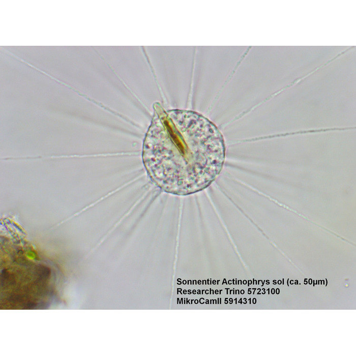 Мікроскоп Bresser Trino Researcher 40x-1000x (5723100)