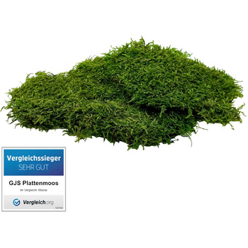Мохові пластини GJS пластинчастий мох 100г/200г/500г справжні збережені, міцні килимки з моху для крафта, декоративний мох/плоский мох (пластинчатий мох, 100)