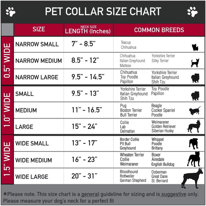 Нашийник для собак Buckle-Down Scooby Doo, пластикова застібка, багатоколірний, ширина 2,5 см, підходить для обхвату шиї 38-66 см, розмір L (DC-BKSR-WSD014-1.0-L). Ширина 2,5 см - підходить для обхвату шиї 38-66 см - великий розмір, багатоколірний.