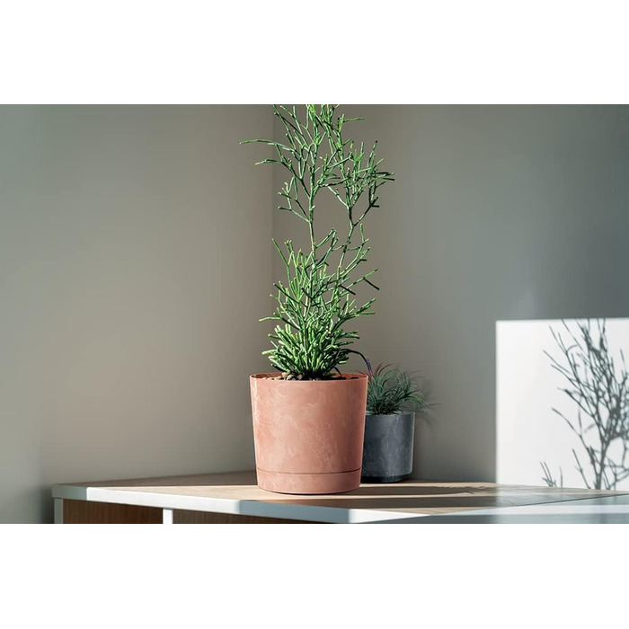 Горщик для квітів Tymar з блюдцем, 2 шт. , декоративний пластиковий горщик для рослин, сучасний, круглої форми, для внутрішнього в