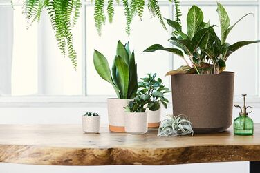 Горщик для квітів Tymar з блюдцем, 2 шт. , декоративний пластиковий горщик для рослин, сучасний, круглої форми, для внутрішнього в