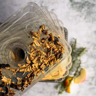 Дегідратор з нержавіючої сталі Wessper цифровий з таймером до 99 годин і регулятором температури від 35-70 за Цельсієм, 5 поверхів, без бісфенолу А, дегідратор дегідратор Дегідратор кутова сушарка для фруктів дегідратор з таймером