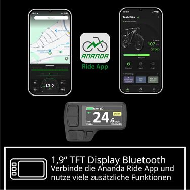 Гірський велосипед Remington XR01 E-Bike 29 дюймів для чоловіків та жінок 165 - 190 см Електровелосипед з акумулятором 540 Втгод, електричний гірський велосипед, 10-швидкісний педелек, 25 км/год, рама 50 см, сірий/бежевий