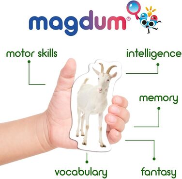 Магніти для дітей на магнітну дошку - Іграшки-магніти для дітей - Магніти на холодильник для дітей - Набір магнітів на холодильник