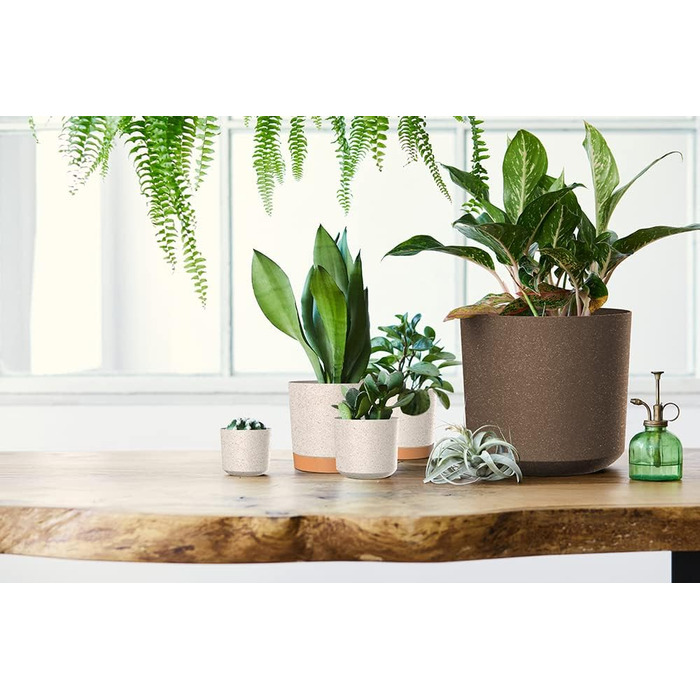 Горщик для квітів Tymar з блюдцем, 2 шт. , декоративний пластиковий горщик для рослин, сучасний, круглої форми, для внутрішнього в