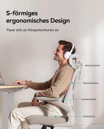 Ергономічне офісне крісло Hbada P1, стілець для роботи з регульованою поперековою опорою, стілець для домашнього офісу з 2D-підголівником, складними підлокітниками, обертове комп&39ютерне крісло, сірий колір