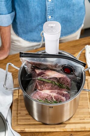 Паличка ENFINIGY sous-vide, плита sous-vide з інтуїтивно зрозумілим сенсорним дисплеєм, точним налаштуванням температури та стабільністю високої температури, білий, 1009634