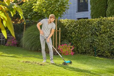Вертикутер Boy ручний вертикутер для видалення моху, бур'янів та повсті з газону, ширина захвату 32 см, з міцними колесами та регульованою віссю для полегшення роботи (3395-88). Вертикутер Boy (32 см), одинарний.