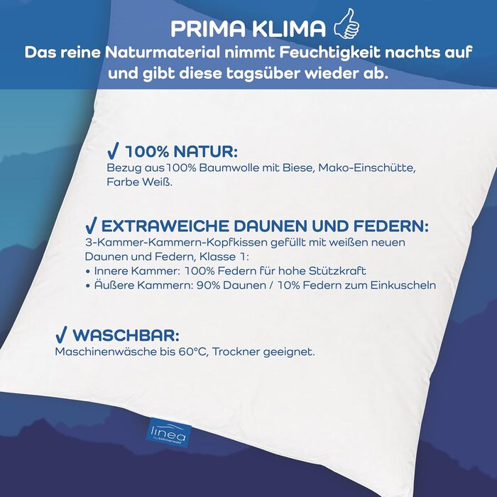 Від Bhmerwald - Cosy - 3-камерна подушка, м&39яка, 80 x 80 см, внутрішня частина 100 пір&39я, зовнішні камери 90 пух/10 пір&39я, підходить для алергіків, можна прати при температурі до 60C, виготовлено в Німеччині, 80 x 80 см, м&39яка підкладка