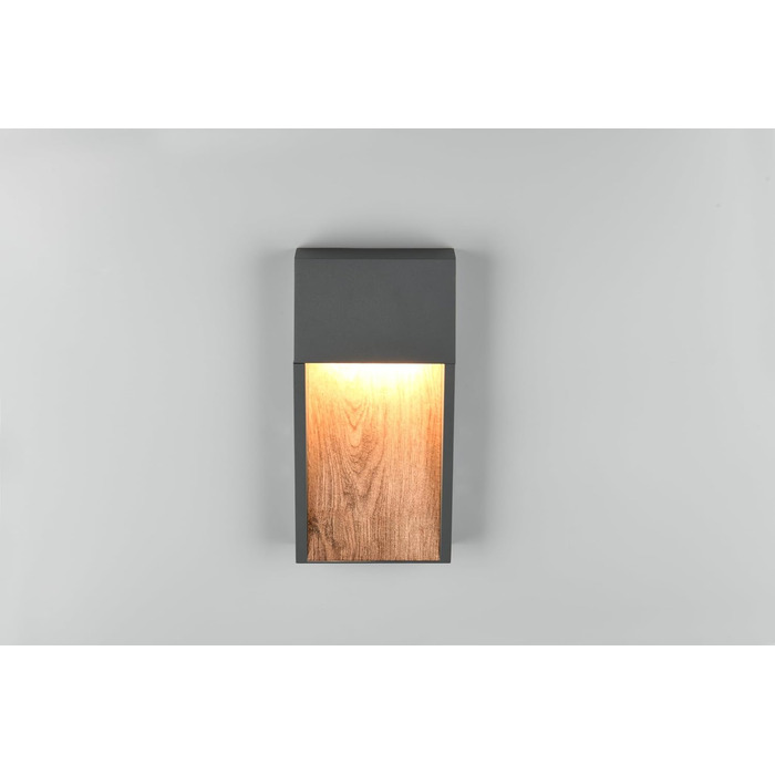 Стічний вуличний LED-світильник Trio Salmon 246960135, литий алюміній, антрацит/імітація дерева, з LED-лампою 11 Вт