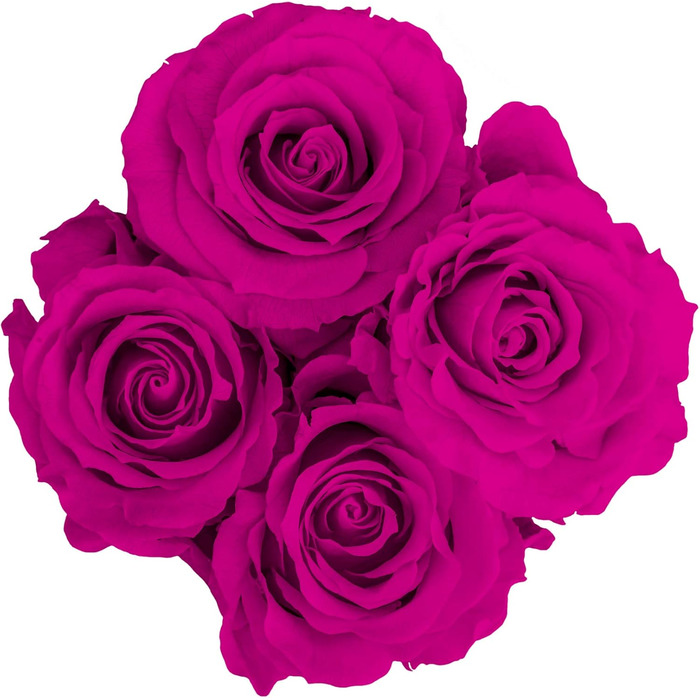 Коробка для троянд Rosenlieb з 4 трояндами Infinity (термін зберігання 3 роки) Справжні збережені квіти Flowerbox вкл. листівку Подарункова коробка для жінок, подруга, різдво (квадрат Bravo чорний, рожевий)