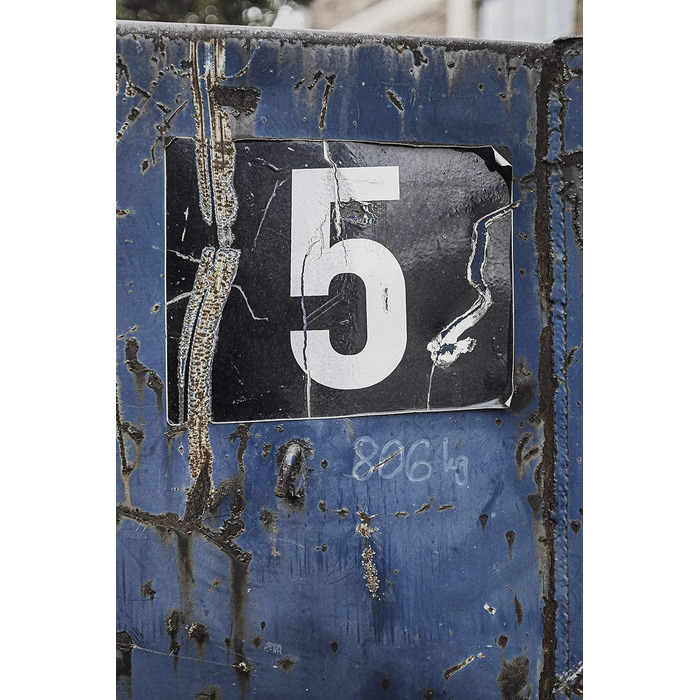 Самокат Yedoo Five kick - до 130 кг, самокат з пневматичними шинами 26/20 - самокат для дорослих, самокат для собак червоний