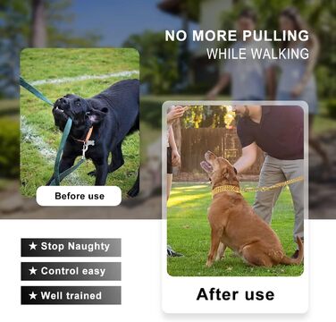 Золотий нашийник для собак, нержавіюча сталь, 18-каратне золото, регульований для прогулянок, металевий, ланцюг Кубинська ланка, міцний, дворядний ланцюг, для великих, малих та середніх собак, 30,540,6 см (12-16 дюймів), 18 каратів