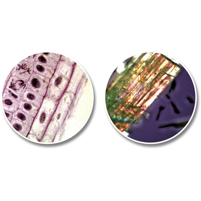 Мікроскоп National Geographic Junior 40x-640x + Телескоп 50/360 з кейсом (9118200)