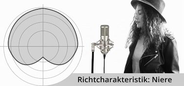Студійний конденсаторний мікрофон Pronomic CM-100S з великою діафрагмою, XLR (з павуком, чохлом, вітрозахистом, перехідником), сріблястий