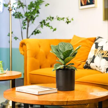 Пластиковий горщик для квітів з декількома дренажними отворами, набір з 4 кашпо для трав з блюдцем, кругле кашпо для кімнатних і б