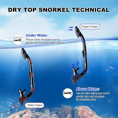 Набір для дорослого підводного плавання з преміальною сухою трубкою та маскою для дайвінгу із загартованого скла, панорамна маска для підводного плавання з кутом огляду 180, захистом від запотівання та протікання, з футляром для перенесення