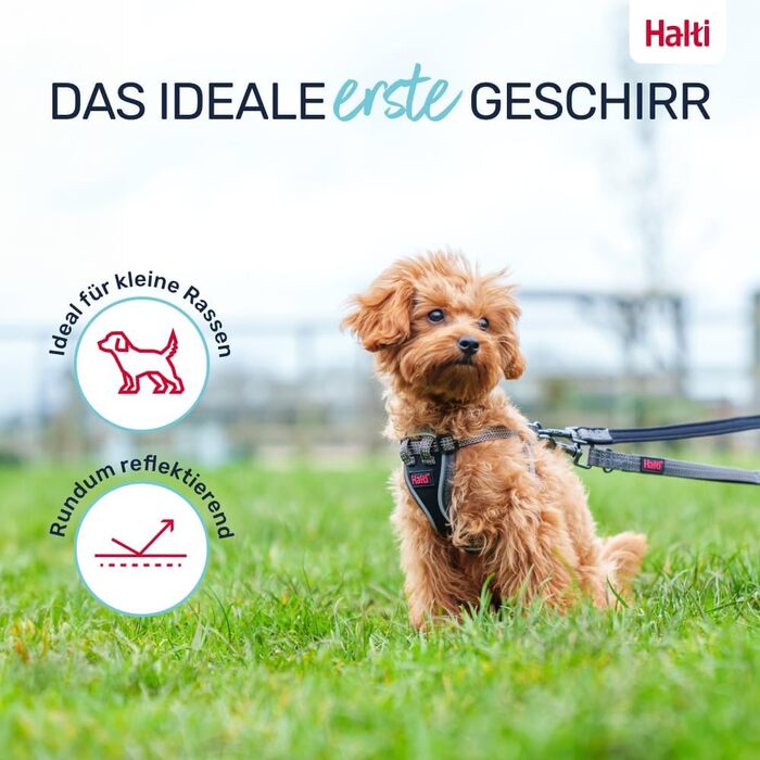 Шлейка HALTI Anatomy для цуценят свобода рухів та комфорт для вашого малюка. Легко одягається завдяки 4 точкам регулювання. Підходить для дрібних порід собак (розмір XXS, сірий)