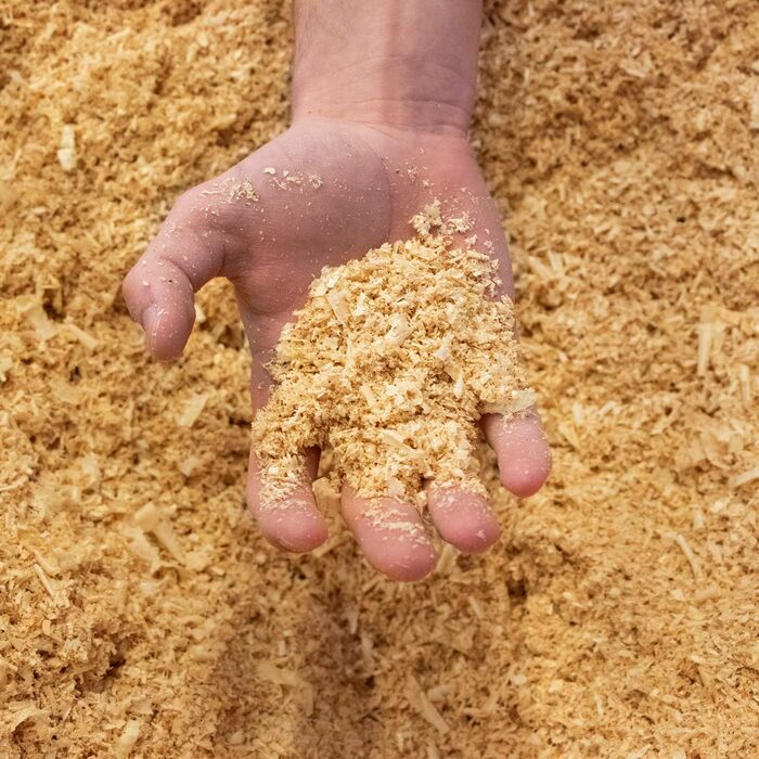 Подушка з сосни для сауни 28x16 см - виготовлена з бавовни - з дуже смолистою сосновою стружкою - для ванної кімнати, гардеробу та сауни