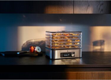 Дегідратор з нержавіючої сталі, дегідратор з 5 відділеннями, 30-70C, 24-годинний таймер, сушарка для фруктів, дегідратор, 2 коробки, батончик мюслі, одинарний без BPA