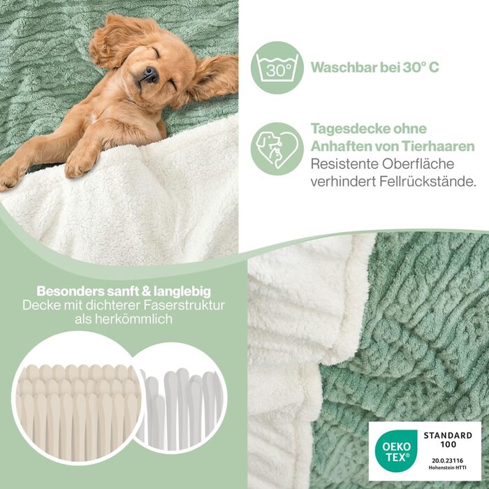 М&39яка ковдра Blumtal 150x200 см з в&39язаним візерунком &quotкосичка&quot - сертифікована Oeko-TEX ковдра з мікрофібри флісу 150x200 см з м&39якою шерпа підкладкою - пухнаста ковдра - товста м&39яка ковдра зелено-біла 150x200 см зелено-білий