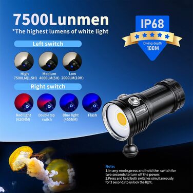 Підводний відеоліхтар L12 7500 люменів - Професійний відеоліхтар для дайвінгу з CRI 90, білим світлом 6000K, акумуляторний USB-C, для дайвінгу/підводної фотозйомки (водонепроникність IP68, глибина занурення 100 м) Знімний акумулятор (заряджання через USB-