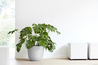 Горщик для рослин Ashortwalk Oslo Bell з переробленого пластику (Ø 25 см x В 21,8 см) (біло-сірий) Вуличні квіткові горщики Всепогодні квіткові горщики (Біло-сірий, 46,6 x 45 x 39,2 см) 45 см Біло-сірий