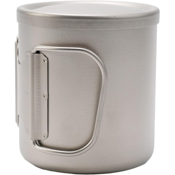 Двостінна кружка для води з кришкою, 220 мл/300 мл/450 мл/550 мл, термокружка для кави, чаю, для збереження тепла напоїв вдома, в офісі, кемпінгу, походів