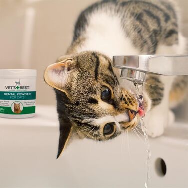 Порошок для чищення зубів для котів Vet's Best - 45 г